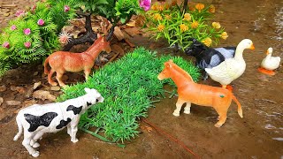 cartoon video cattle animal video abcd tractor matikata horses hamba  Nov 1 2024902AM [upl. by Tneciv]