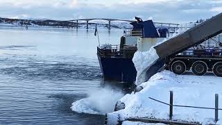 Stor aktivitet på Finnsnes kai [upl. by Omoj]