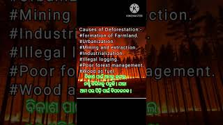 Causes of deforestation [upl. by Raquel241]