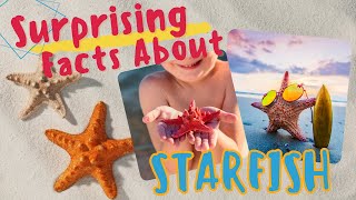 Facts About Starfish That Will Surely Surprise You  Science For Kids  Educational Videos For Kids [upl. by Engelbert]