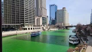 Chicago Loop Walk to Millenium Park and Over to Chicago River Still Green from St Patricks Day [upl. by Ttennej]