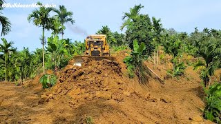 How CAT Dozer Makes Terraces On Bananas Plantation Turn Into Palm Oil Plantation P4 [upl. by Casteel67]