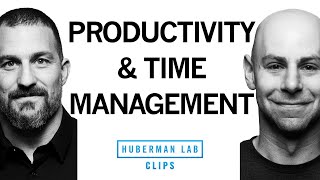 Tools for Better Productivity amp Time Management  Dr Adam Grant amp Dr Andrew Huberman [upl. by Bernadette]