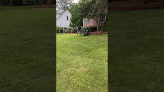 AampR lawn service call for free estimate 3368588488 [upl. by Clea]