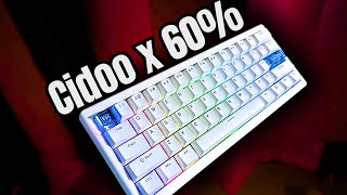 So you like RGB Cidoo QK61 60 Wireless Mechanical Keyboard Teardown and Review [upl. by Naugal]