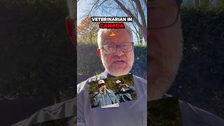 🐾🇨🇦 vetmed veterinarian vetmed shortvideo shortsfeed [upl. by Wildee780]