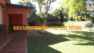 THE LOVE POTION BHEKA MINA NGEDWA [upl. by Weibel833]