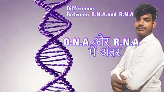 DNA और RNA में अंतर  Differences Between DNA and RNA  Wifi Book dna rna neet boardexam class [upl. by Gayler]