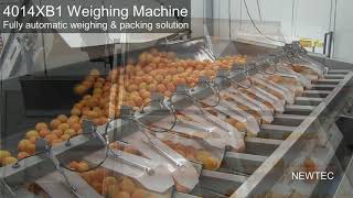 Newtec Weighing Machine 4014XB1 Fully automatic weighing and packing solution [upl. by Augustine]