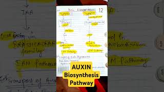 AUXIN BIOSYNTHESIS FROM TRYPTOPHAN• IAN PATHWAY• IAM PATHWAY• CSIR LIFE SCIENCES csirnet auxin [upl. by Ahsak]