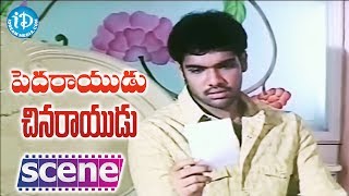 Pedarayudu Chinarayudu Movie  Sibiraj Nikitha Love Scene [upl. by Risser]