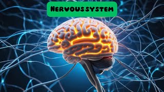 Introduction to physiology of Nervous system CNS and PNS مقدمة لعلم وظائف الجهاز العصبي [upl. by Anatak32]