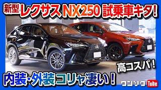 【一番安い新型レクサスNXでも内装はスゴイ】LEXUS NX250 version Lの試乗車キタ これが一番の高コスパモデル 内装amp外装レポート [upl. by Arim180]