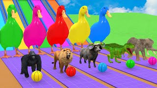 Basket Ball Game Game With Cow Elephant Gorilla Tiger Dinosaur Wild Animal Escape Cage Game [upl. by Nurat]