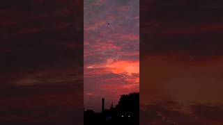 whats next 🙃🙂🌎 Netuer Amazing ocation short video colour full day lovely intelcolourvision [upl. by Shakti]