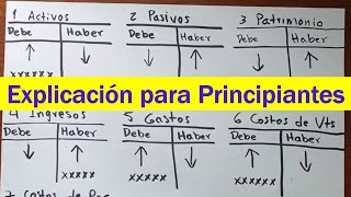 Manejo básico de CUENTAS T Contabilidad básica [upl. by Nannie]