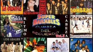 Super Bailables Vol 3  cumbia del recuerdo [upl. by Trescha]