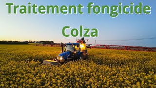 Traitement fongicide colza 2024 [upl. by Rojas]