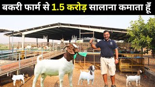 Big Punjabi Goats Lot At Al Bek Farm Indias Biggest Goat Farm [upl. by Garrison613]