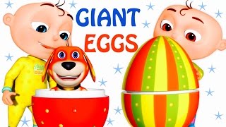 Five Little Babies Opening Giant Eggs  Zool Babies Fun Songs  Five Little Babies Collection [upl. by Kingston]