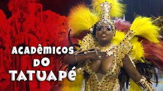 Carnival 2019 in São Paulo  Acadêmicos do Tatuapé  short video [upl. by Sedinoel59]