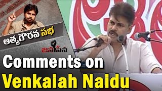 Pawan Kalyan comments Venkaiah Naidu  Seemandhrula Atma Gaurava Sabha  NTV [upl. by Ueihttam]