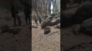 Bear Cave in panchmarhi ytshortsindia ytviral viralvideo viralshorts shorts shortvideo [upl. by Ahsia288]