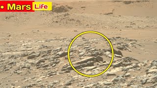 Mars planet 4k video footage  Life on mars  perseverance Rover amazing video by captured by NASA [upl. by Onileba512]