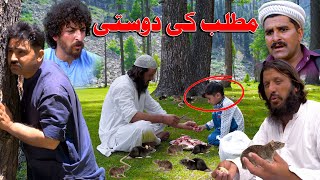 Matlab ki Dosti  Swat kpk vines Funny video 2024 [upl. by Tierell197]