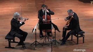 Nuovo Trio Italiano dArchi  Schubert Trio in si bemolle maggiore D 471 [upl. by Yelyak]