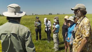 The California Naturalist Program Community [upl. by Adelaja]