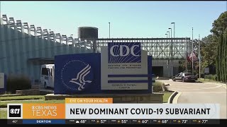 CDC warns of new COVID19 variant [upl. by Frulla]