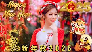 2025恭賀新春 💖Chinese New Year Songs 2025【新年老歌】40首传统新年歌曲 💥 台语新年歌 Lunar New Year 2025 [upl. by Hairas]