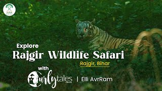 Explore Rajgir Wildlife Safari with Elli AvrRam  Curly Tales  Bihar Tourism [upl. by Luar]