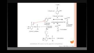 Genetic Basis of PyridoxineResponsive Neonatal Epilepsy in Consanguineous Families [upl. by Romeo]