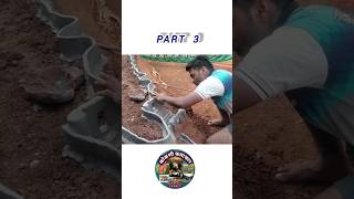 Making Sihangad Fort  Part 3  Diwali Fort fort sihangad सिहंगड shortvideo viralvideo art [upl. by Ahtera]