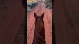 Dakotas first English trail ride🥰 letshowdakota [upl. by Yila117]