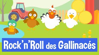 ROCKNROLL DES GALLINACÉS [upl. by Sumetra868]