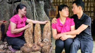 FULL VIDEO Harvesting wild roots chayote fish vegetables  bringing them to the market to sell [upl. by Ahker382]