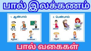 பால் இலக்கணம் தமிழ் பால் வகைகள் தமிழ் பால் இலக்கணம்  Paal ilakkanam  ஜோதிதவம் நாடிப் பயில்வோம் [upl. by Harden]