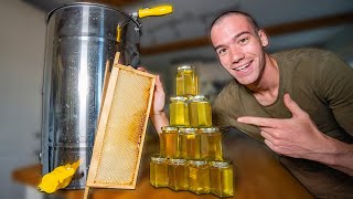 How honey is harvested  From beehive to jars [upl. by Otrevogir]