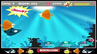 Box10com Fish For Food Flash Game Gameplay [upl. by Idalia746]