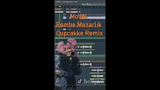 Pembe Mezarlık Cupcakke Remix [upl. by Eceerahs]