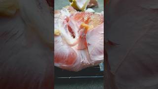 Pink Pomelo Fruit Cutting Skills shorts [upl. by Silvan]