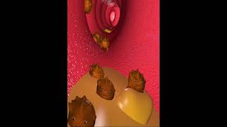 Digestive system Bacteria in Large intestine 3D Animation [upl. by Studnia]