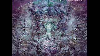 Elephants On Acid  Cypress Hill  Sausee Psy Trance Mashup [upl. by Solracesoj]