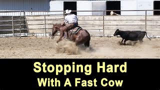 Cutting Horse Stopping Hard With A Fast Cow  Cutting Horse Training amp Reined Cow Horse Training [upl. by Yahc]