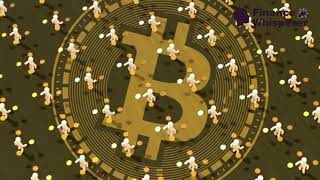 Whats the Real Reason Behind BITCOINs Success [upl. by Enylodnewg]