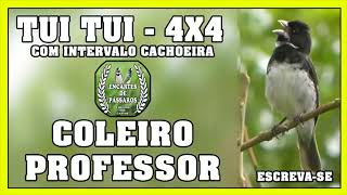 TUI TUI 4X4 COLEIRO PROFESSOR  COM INTERVALO CACHOEIRA [upl. by Alig]