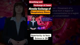 Breathing and exchange of gases Class 11th Biology  learn in 3D neet Cbse [upl. by Ver]